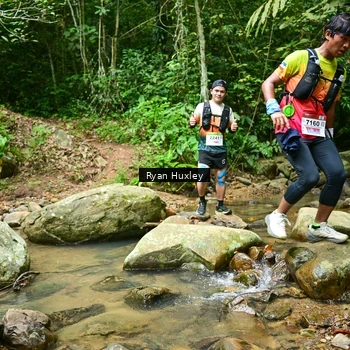 Runner Photo 8979660