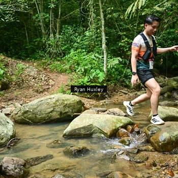 Runner Photo 8979722