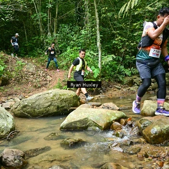 Runner Photo 8979804