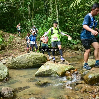 Runner Photo 8979886
