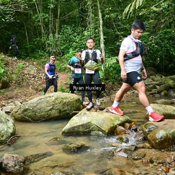 Runner Photo 8980015
