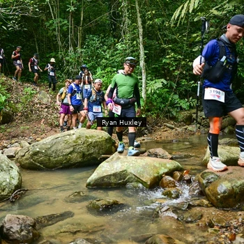 Runner Photo 8980085