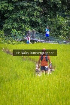 Runner Photo 89876
