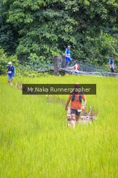 Runner Photo 89902