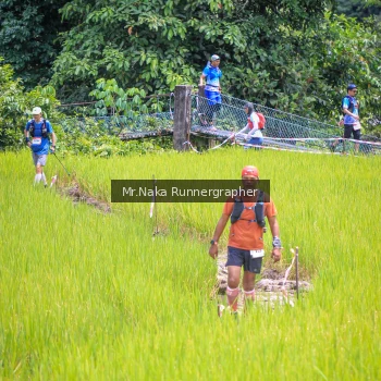 Runner Photo 89910