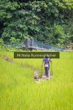 Runner Photo 89932