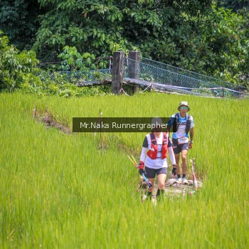 Runner Photo 89962