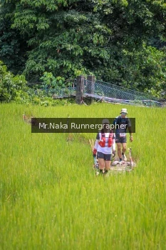 Runner Photo 89969