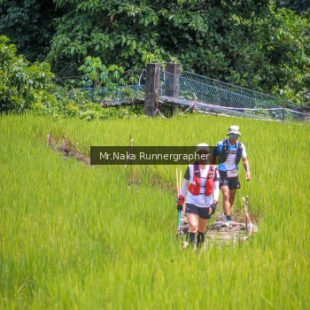 Runner Photo 89975