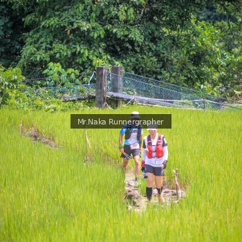 Runner Photo 89991