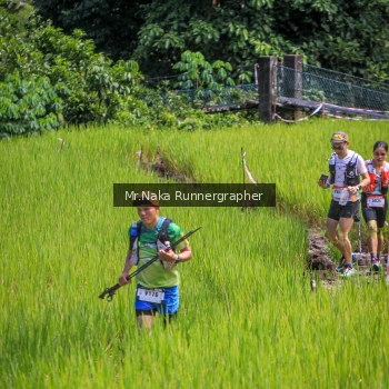 Runner Photo 90033