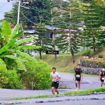 Runner Photo 9006145