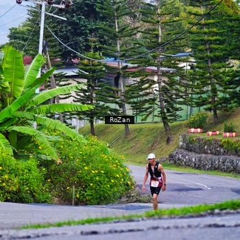 Runner Photo 9006146