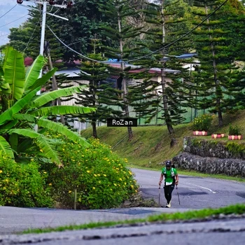 Runner Photo 9006147