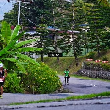 Runner Photo 9006149