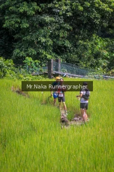 Runner Photo 90087