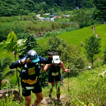 Runner Photo 90097