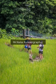 Runner Photo 90101