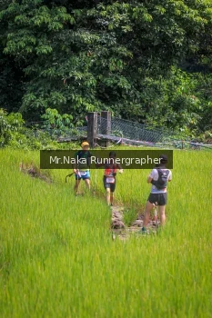 Runner Photo 90111
