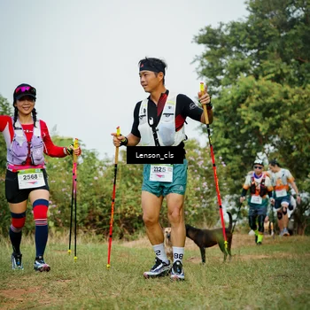 Runner Photo 9011344