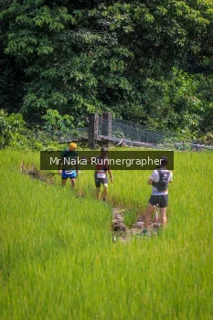 Runner Photo 90119