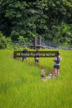Runner Photo 90127