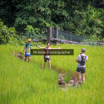 Runner Photo 90134