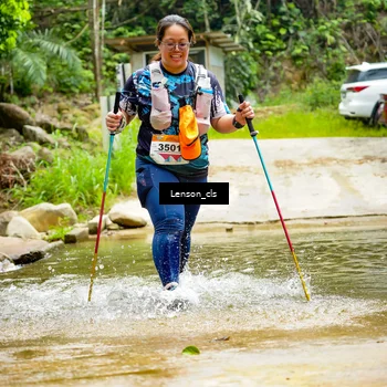 Runner Photo 9014942