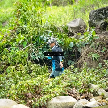 Runner Photo 9015418