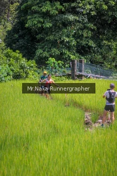 Runner Photo 90157