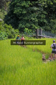Runner Photo 90174