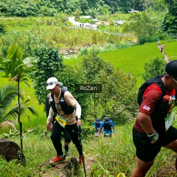 Runner Photo 90182