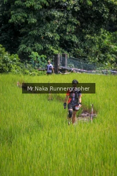 Runner Photo 90193