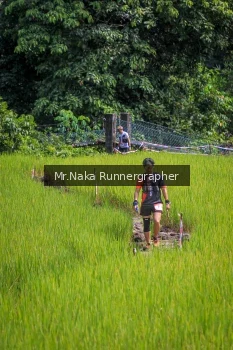 Runner Photo 90211