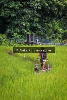 Runner Photo 90218