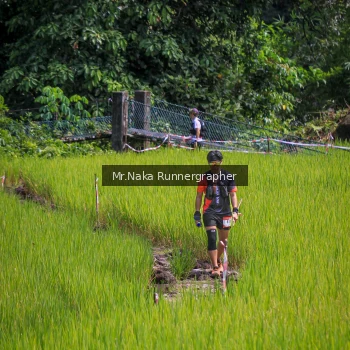 Runner Photo 90226