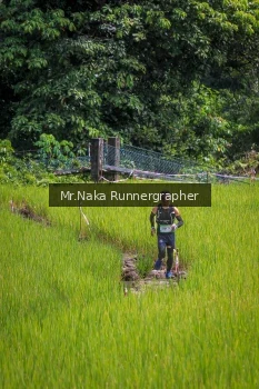 Runner Photo 90244