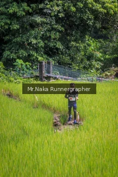 Runner Photo 90250