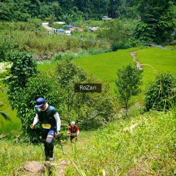 Runner Photo 90254