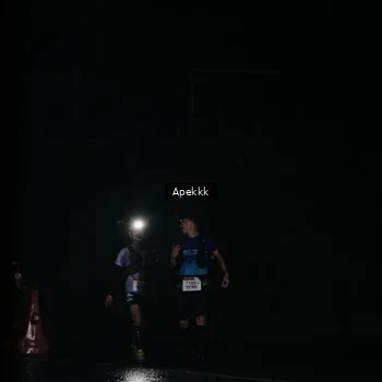 Runner Photo 9031595
