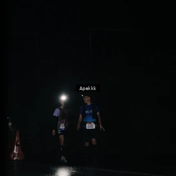 Runner Photo 9031599
