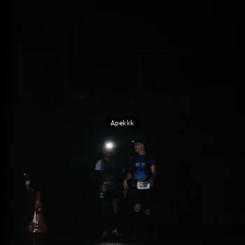 Runner Photo 9031601