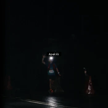 Runner Photo 9031671