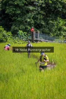 Runner Photo 90334