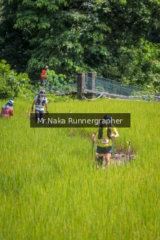 Runner Photo 90352