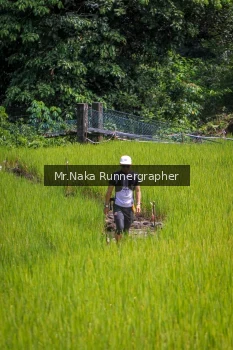 Runner Photo 90360
