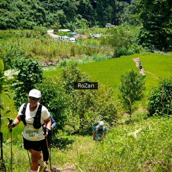 Runner Photo 90364