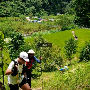 Runner Photo 90370