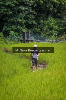 Runner Photo 90391