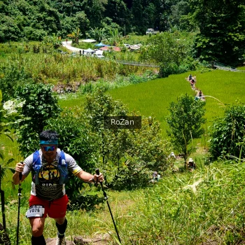 Runner Photo 90426